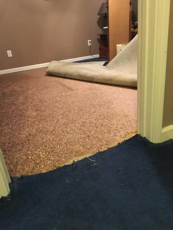 Carpet pad removal revealing water damage during Water Mitigation Services in Northvale