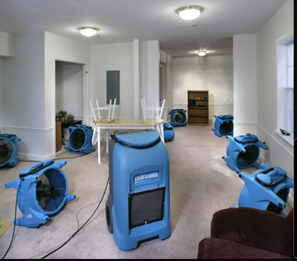 Air movers and dehumidifier setup for Water Extraction & Removal in Northvale