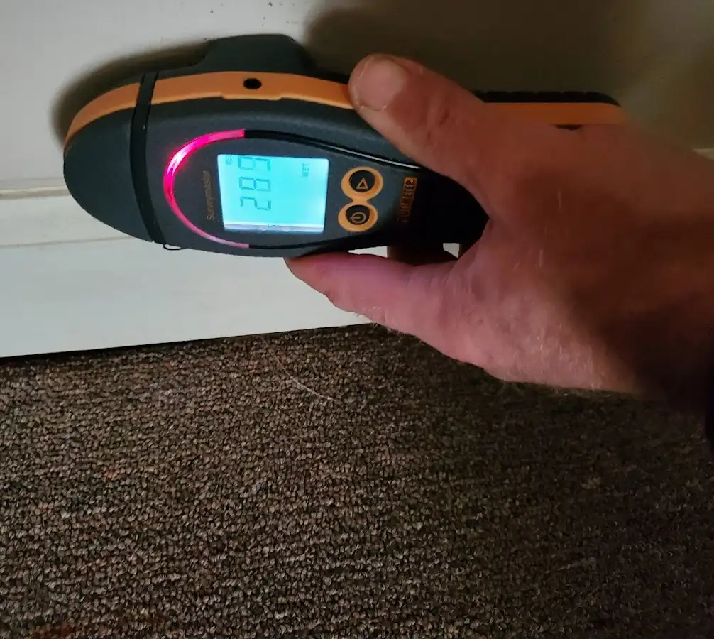 Moisture detection at baseboard during Sewage Cleanup & Sanitation in Northvale